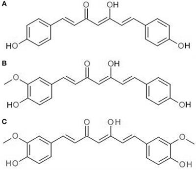 Curcumin Nanoformulations for Colorectal Cancer: A Review